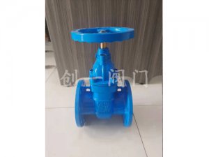 暗桿防護(hù)閘閥