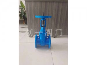 明桿防護(hù)閘閥